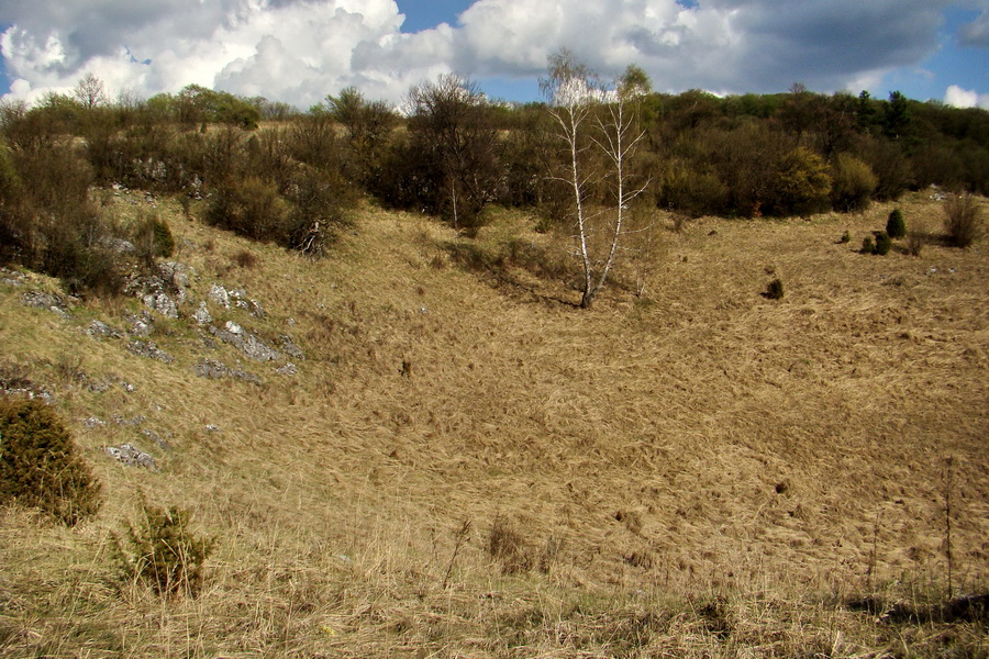 Gerlašská skala (Slovenský kras)