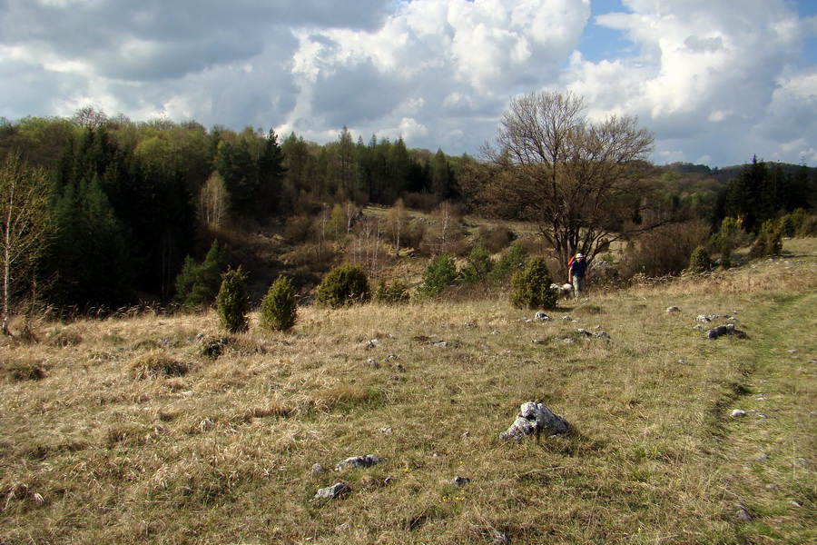 Gerlašská skala (Slovenský kras)