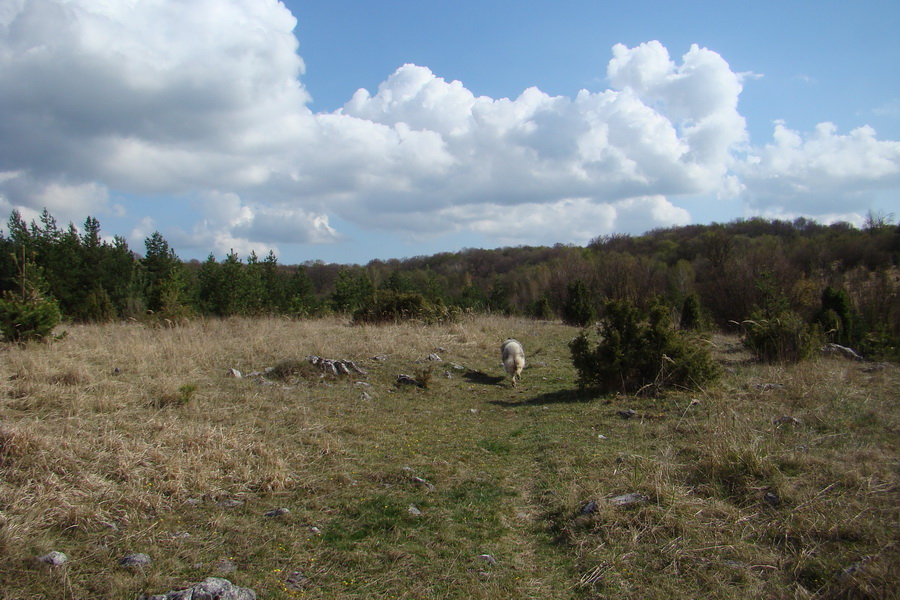 Gerlašská skala (Slovenský kras)