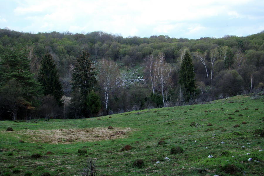 Gerlašská skala (Slovenský kras)