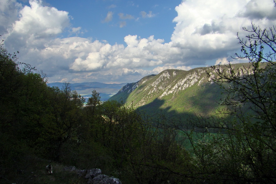 Gerlašská skala (Slovenský kras)