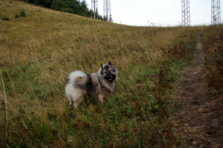 Hrebeňovka Nízkych Tatier - 2 deň (Nízke Tatry)