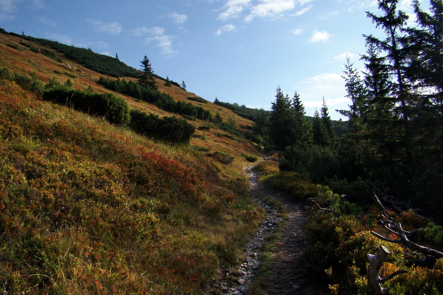 Hrebeňovka Nízkych Tatier - 2 deň (Nízke Tatry)