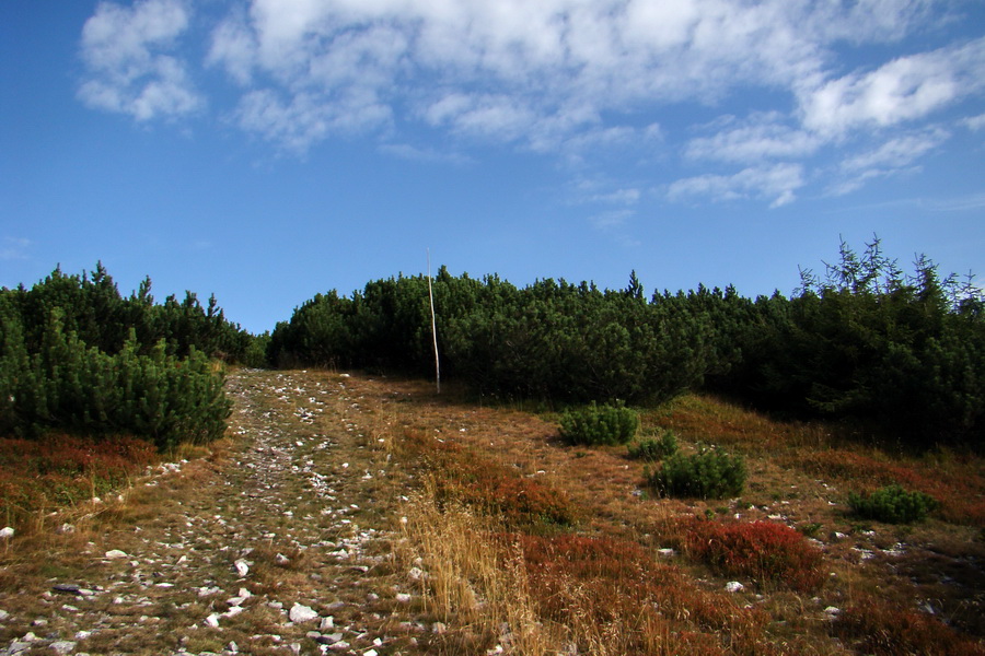 Hrebeňovka Nízkych Tatier - 2 deň (Nízke Tatry)