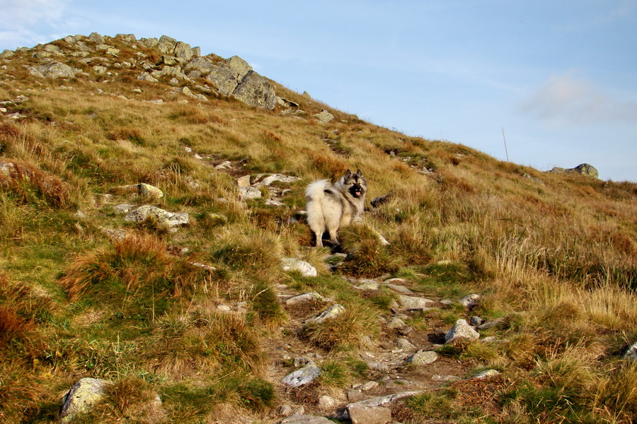 Hrebeňovka Nízkych Tatier - 2 deň (Nízke Tatry)