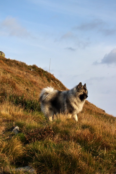 Hrebeňovka Nízkych Tatier - 2 deň (Nízke Tatry)