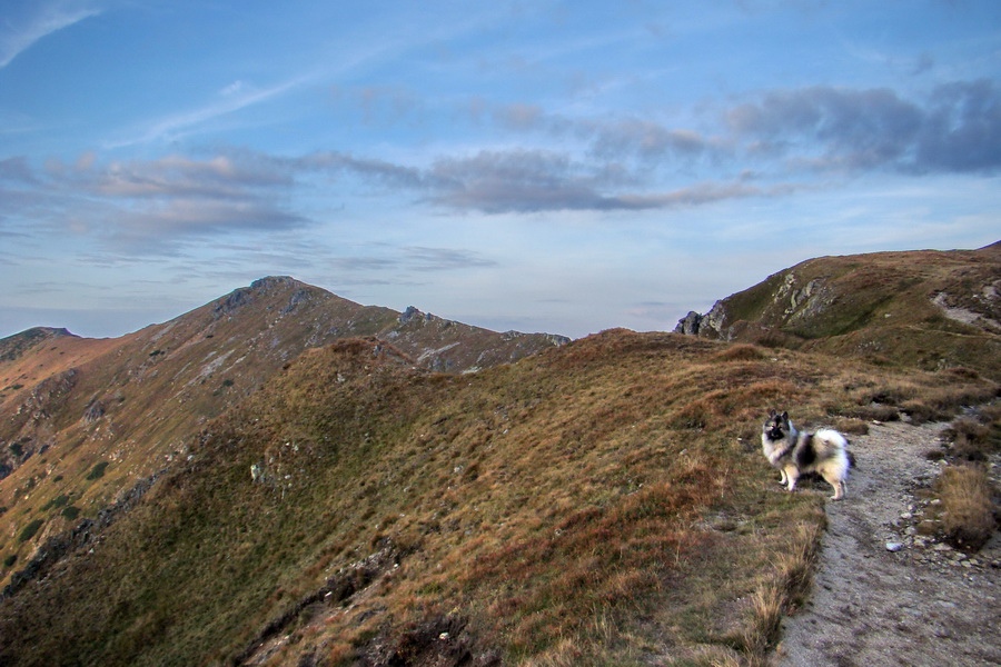 Hrebeňovka Nízkych Tatier - 2 deň (Nízke Tatry)