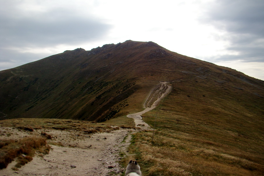 Hrebeňovka Nízkych Tatier - 3 deň (Nízke Tatry)