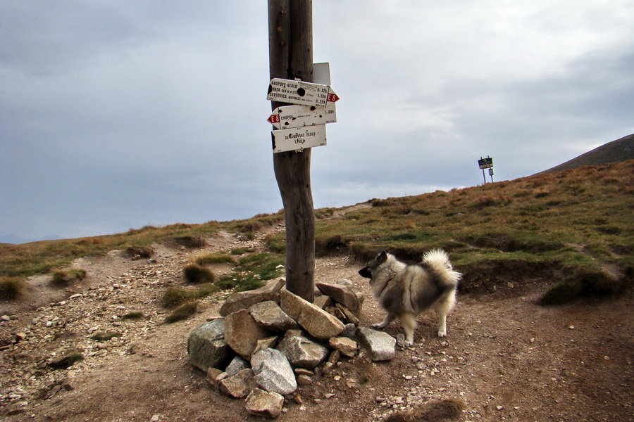 Hrebeňovka Nízkych Tatier - 3 deň (Nízke Tatry)