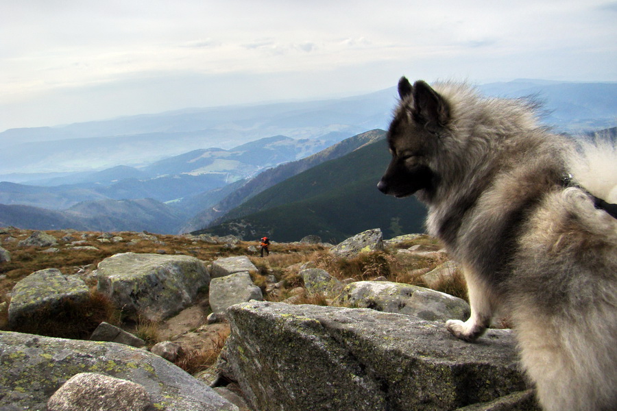 Hrebeňovka Nízkych Tatier - 3 deň (Nízke Tatry)