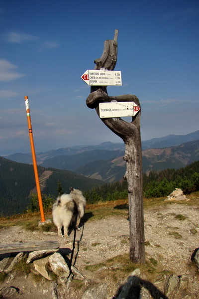 Hrebeňovka Nízkych Tatier - 3 deň (Nízke Tatry)