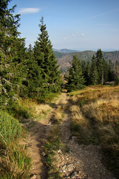 Hrebeňovka Nízkych Tatier - 3 deň (Nízke Tatry)