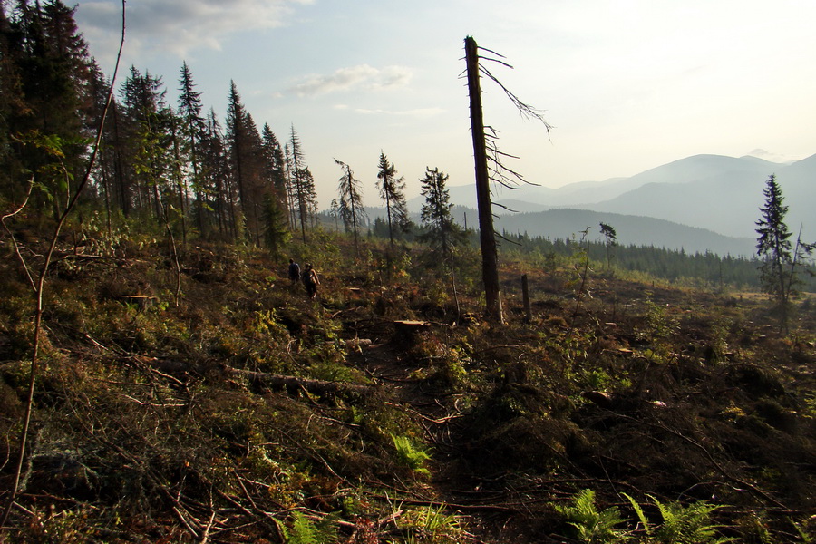 Hrebeňovka Nízkych Tatier - 4 deň (Nízke Tatry)