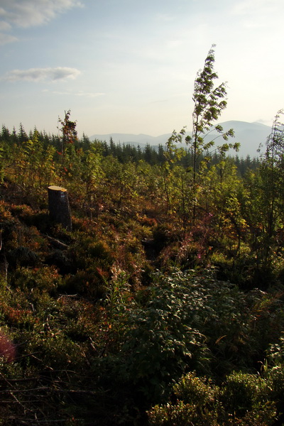 Hrebeňovka Nízkych Tatier - 4 deň (Nízke Tatry)