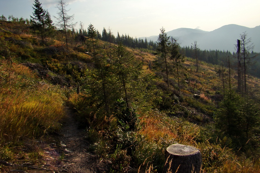 Hrebeňovka Nízkych Tatier - 4 deň (Nízke Tatry)