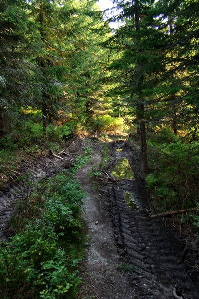 Hrebeňovka Nízkych Tatier - 4 deň (Nízke Tatry)