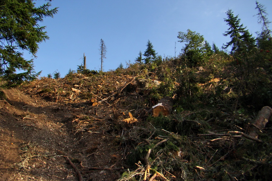 Hrebeňovka Nízkych Tatier - 4 deň (Nízke Tatry)