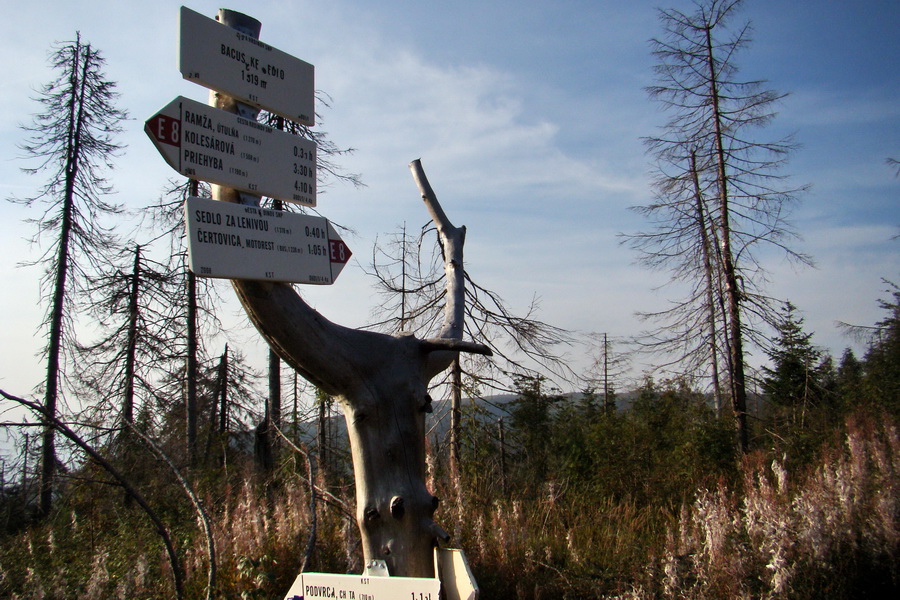 Hrebeňovka Nízkych Tatier - 4 deň (Nízke Tatry)