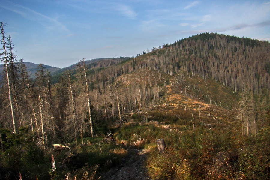 Hrebeňovka Nízkych Tatier - 4 deň (Nízke Tatry)