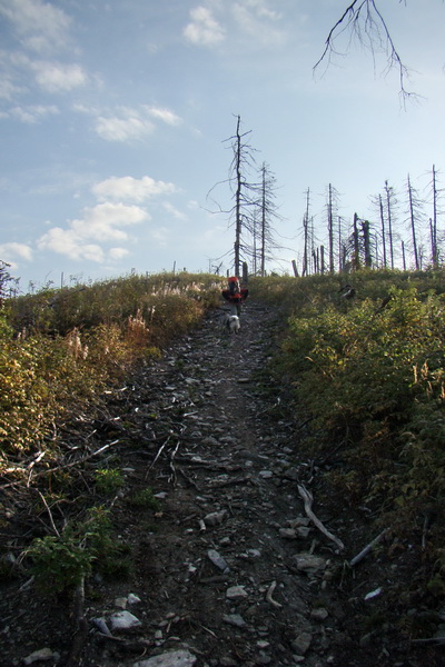 Hrebeňovka Nízkych Tatier - 4 deň (Nízke Tatry)