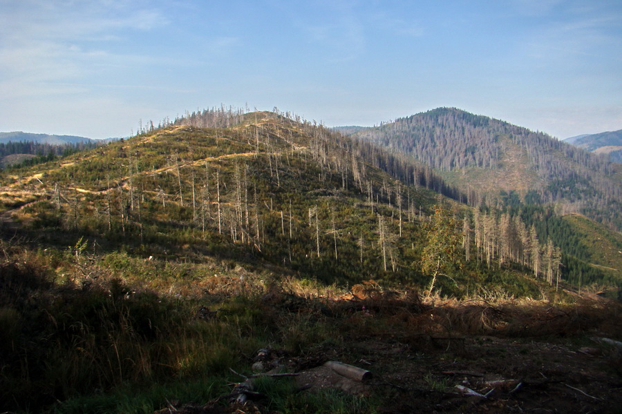 Hrebeňovka Nízkych Tatier - 4 deň (Nízke Tatry)