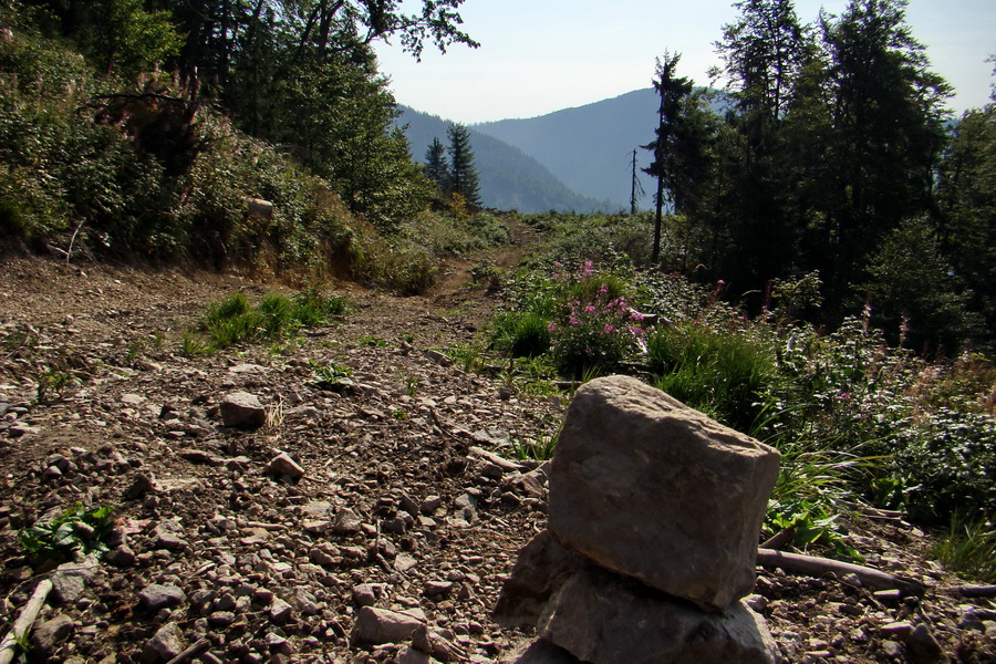 Hrebeňovka Nízkych Tatier - 4 deň (Nízke Tatry)