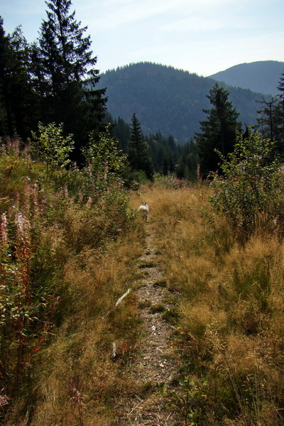 Hrebeňovka Nízkych Tatier - 4 deň (Nízke Tatry)