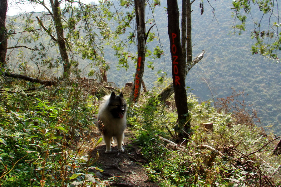 Hrebeňovka Nízkych Tatier - 4 deň (Nízke Tatry)