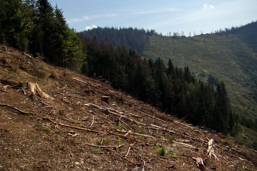 Hrebeňovka Nízkych Tatier - 4 deň (Nízke Tatry)