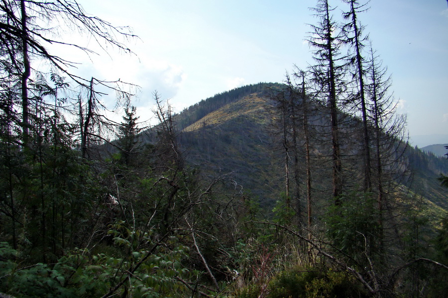 Hrebeňovka Nízkych Tatier - 4 deň (Nízke Tatry)