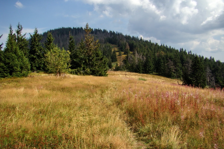 Hrebeňovka Nízkych Tatier - 4 deň (Nízke Tatry)