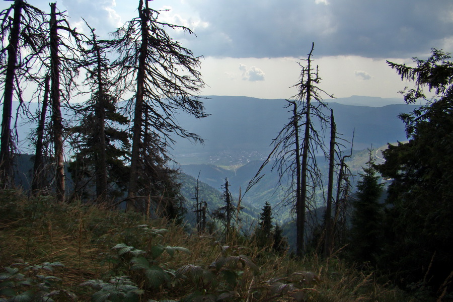 Hrebeňovka Nízkych Tatier - 4 deň (Nízke Tatry)