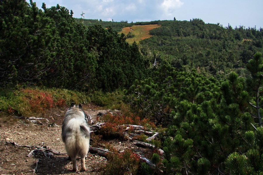 Hrebeňovka Nízkych Tatier - 4 deň (Nízke Tatry)