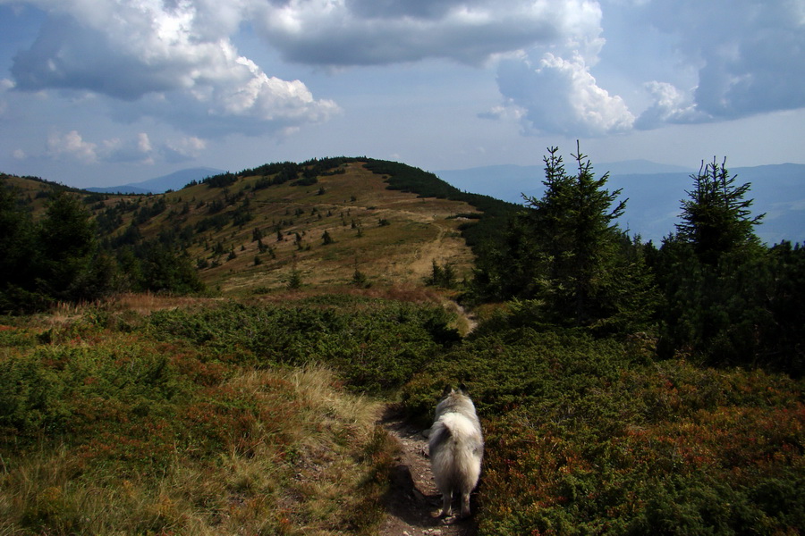 Hrebeňovka Nízkych Tatier - 4 deň (Nízke Tatry)