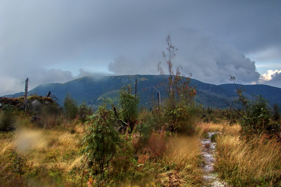 Hrebeňovka Nízkych Tatier - 4 deň (Nízke Tatry)