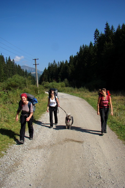 Hrebeňovka Veľkej Fatry - 1 deň (Veľká Fatra)