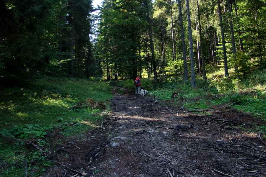 Hrebeňovka Veľkej Fatry - 1 deň (Veľká Fatra)