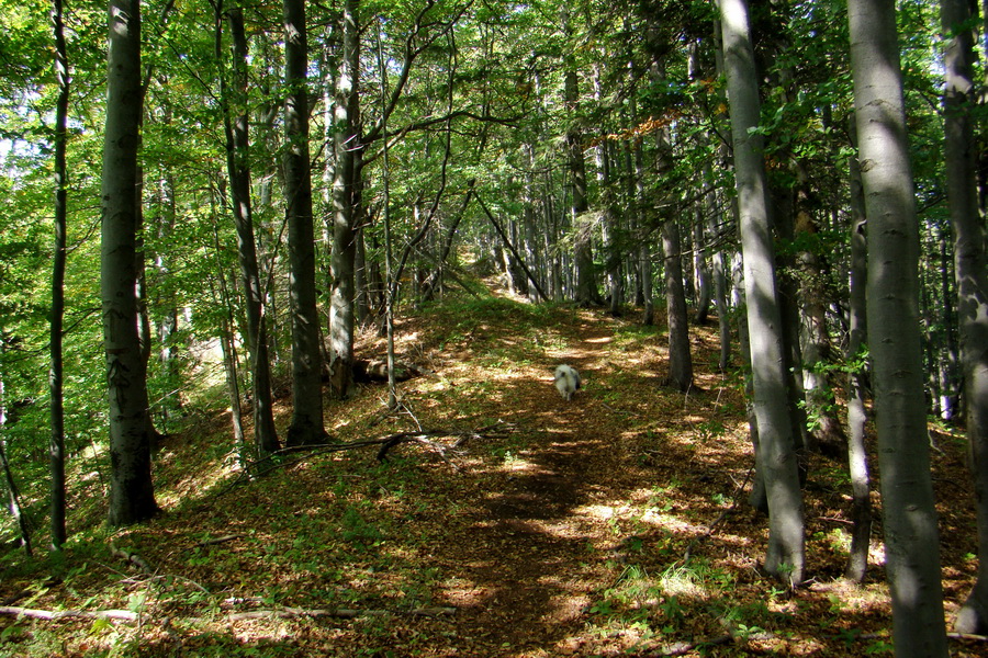 Hrebeňovka Veľkej Fatry - 1 deň (Veľká Fatra)