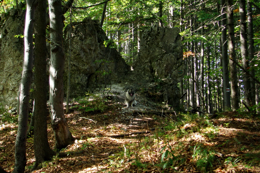 Hrebeňovka Veľkej Fatry - 1 deň (Veľká Fatra)