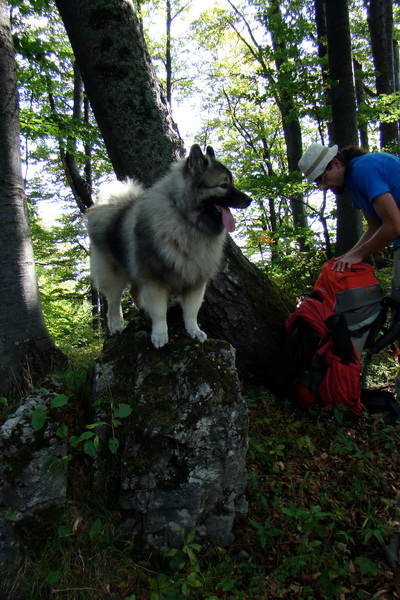 Hrebeňovka Veľkej Fatry - 1 deň (Veľká Fatra)