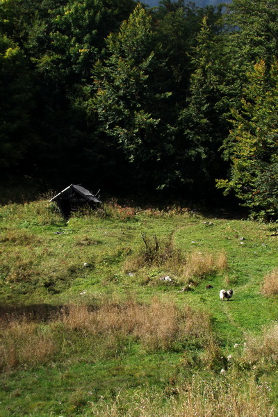 Hrebeňovka Veľkej Fatry - 1 deň (Veľká Fatra)