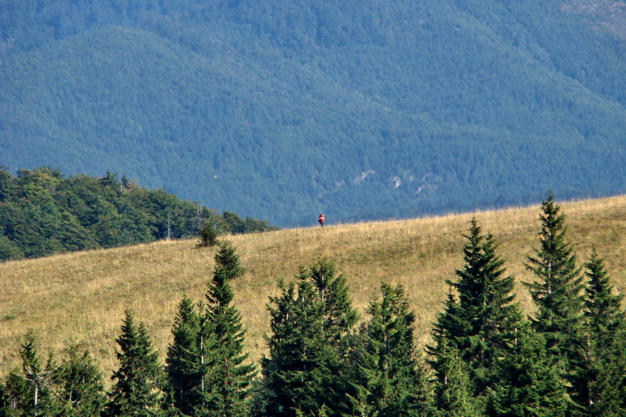 Hrebeňovka Veľkej Fatry - 1 deň (Veľká Fatra)