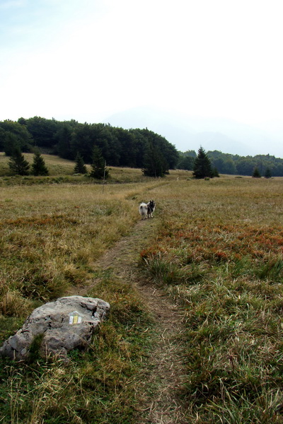 Hrebeňovka Veľkej Fatry - 2 deň (Veľká Fatra)