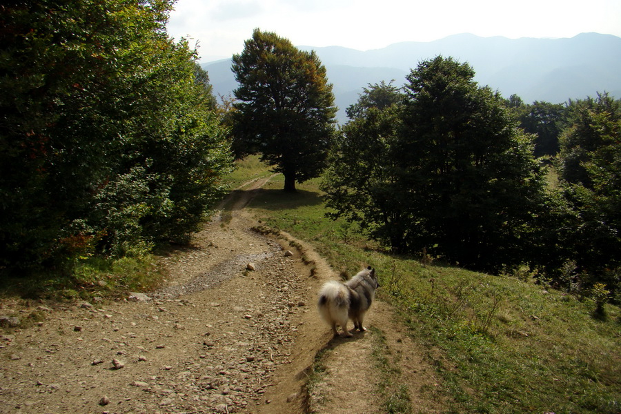 Hrebeňovka Veľkej Fatry - 2 deň (Veľká Fatra)