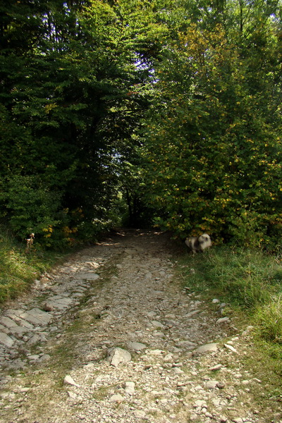 Hrebeňovka Veľkej Fatry - 2 deň (Veľká Fatra)