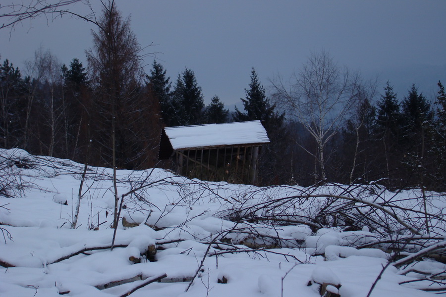 Kloptaň v zime (Volovské vrchy)