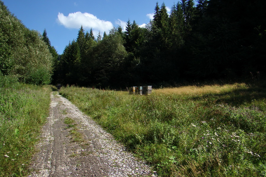 Kojšovská hoľa z Prakoviec (Volovské vrchy)