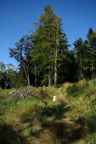 Kojšovská hoľa z Prakoviec (Volovské vrchy)