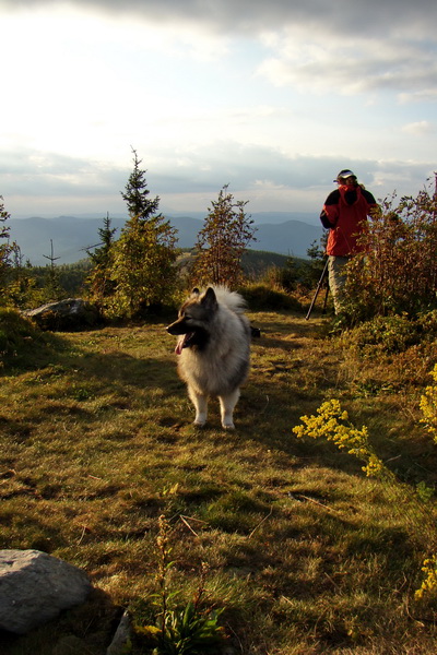 Kojšovská hoľa z Prakoviec (Volovské vrchy)