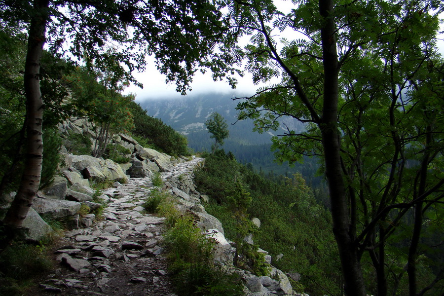 Kôprovský štít so psom (Vysoké Tatry)